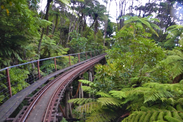 Zdjęcie z Nowej Zelandii - Na trasie kolejki Driving Creek Railway 