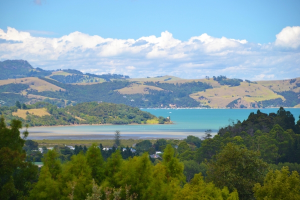 Zdjęcie z Nowej Zelandii - Widok z okien domu naszych znajomych mieszkajacych w Coromandel...