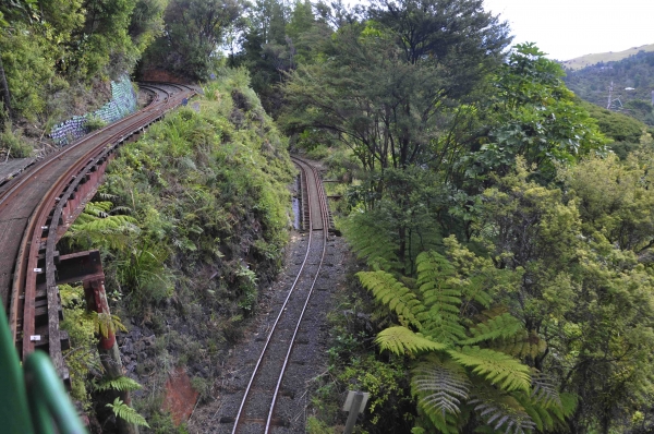 Zdjęcie z Nowej Zelandii - Trasa kolejki Driving Creek Railway 