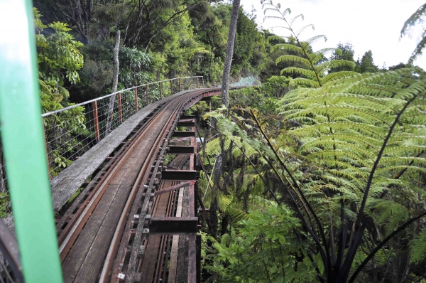 Zdjęcie z Nowej Zelandii - Jedziemy gorska waskotorowka Driving Creek Railway 