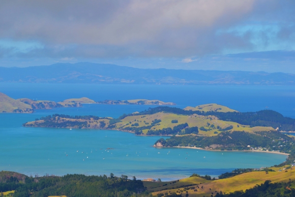 Zdjęcie z Nowej Zelandii - Dla takich widokow warto wjechac na gore