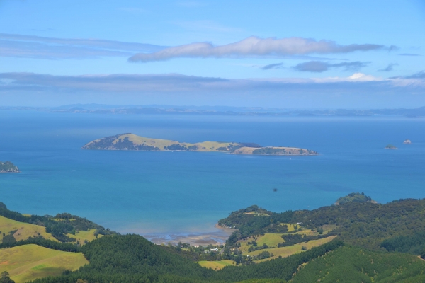 Zdjęcie z Nowej Zelandii - 
