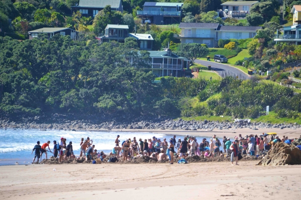 Zdjęcie z Nowej Zelandii - Tlumy na Hot Water Beach. Z tylu miasteczko Kawhia