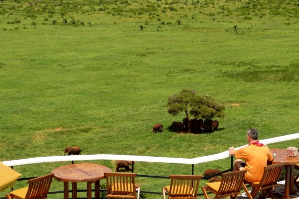 Zdjęcie z Kenii - obserwacja - to jedyna rzecz do roboty podczas safari:))