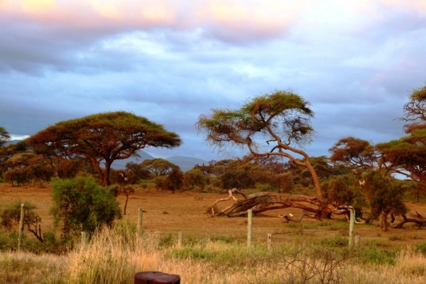 Zdjęcie z Kenii - wschód nad sawanną...