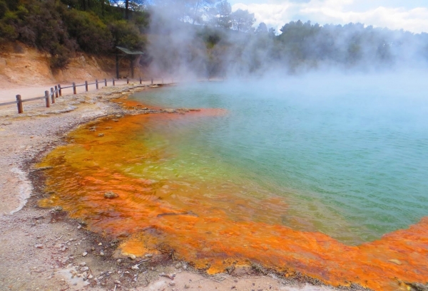Zdjęcie z Nowej Zelandii - Niesamowite barwy wrzących jezior