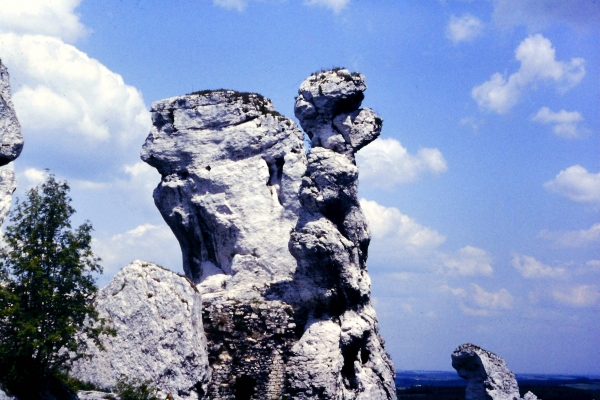 Zdjęcie z Polski - Ogrodzieniec