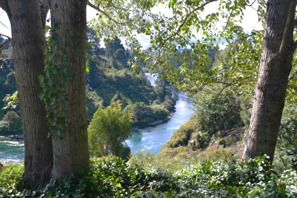 Zdjęcie z Nowej Zelandii - Waikato River
