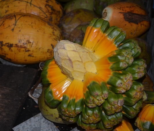 Zdjęcie z Malediw - moze ktos wie co to za owoc....widziałam je tez w Taj...