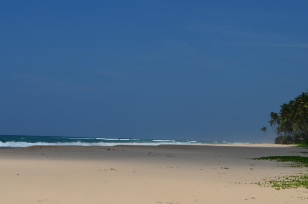Zdjęcie ze Sri Lanki - KOGGALA