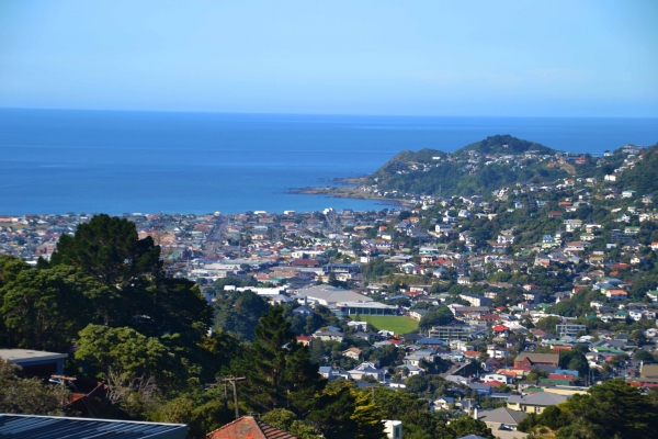 Zdjęcie z Nowej Zelandii - Wellington