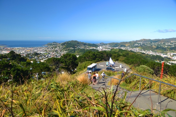 Zdjęcie z Nowej Zelandii - Widok na miasto z Mount Victoria