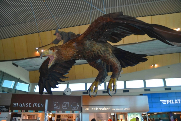 Zdjęcie z Nowej Zelandii - Terminal lotniska w Wellington
