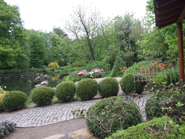 Zdjęcie z Polski - wrocławski ogród japoński