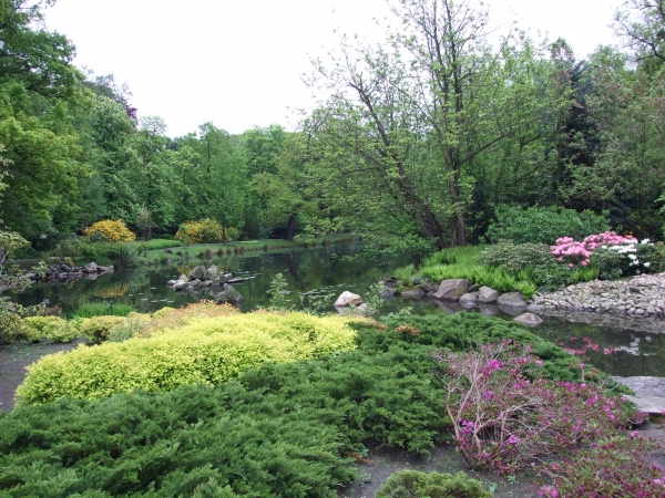 Zdjęcie z Polski - ogród japoński