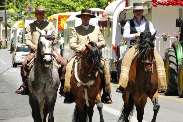 Zdjęcie z Hiszpanii - parada na koniach, miejska fiesta na którą trafiłyśmy w ostatnią sobotę maja