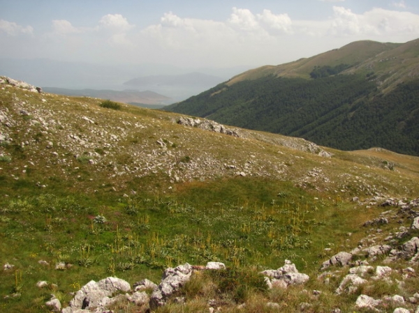 Zdjęcie z Macedonii - Park narodowy Galicica.