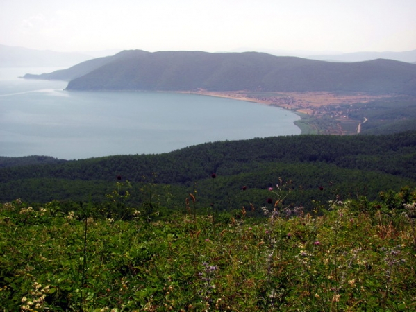 Zdjęcie z Macedonii - Jezioro Prespańskie (Prespa lake).