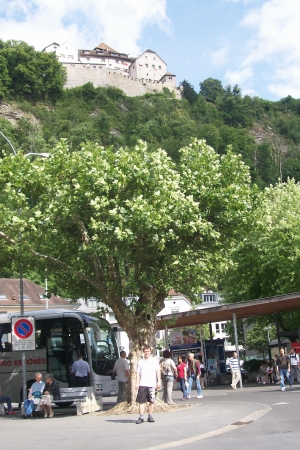Zdjęcie z Lichtensteinu - Liechtenstein