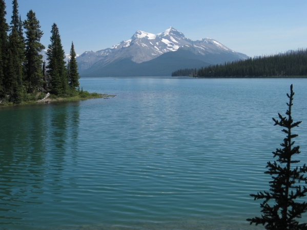 Zdjęcie z Kanady - Maligne Lake