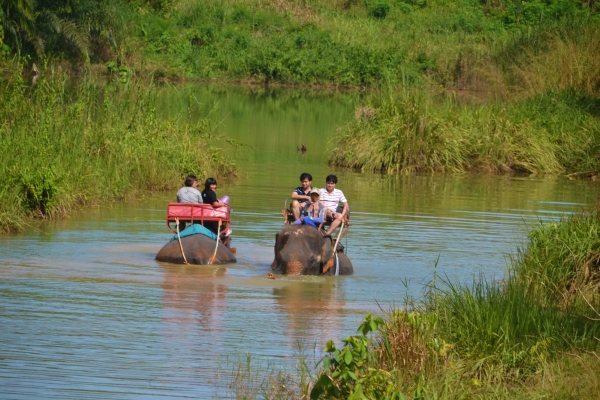 Zdjęcie z Tajlandii - Trekking na sloniach