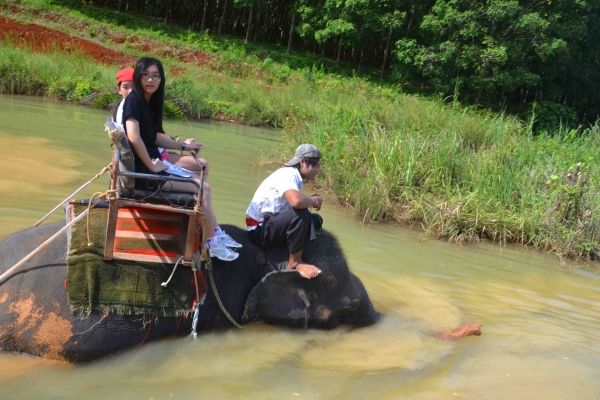 Zdjęcie z Tajlandii - Trekking na sloniach