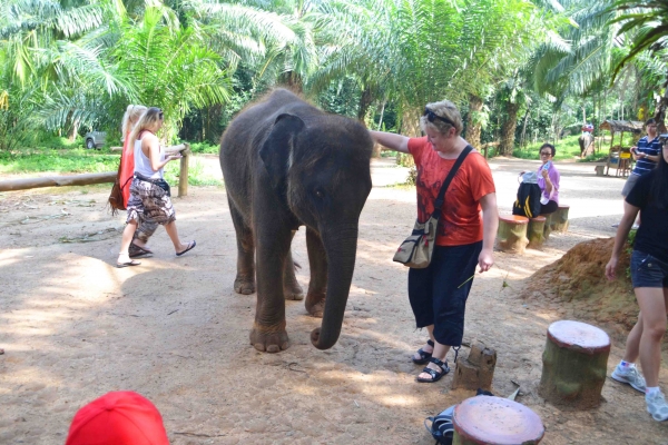 Zdjęcie z Tajlandii - Sesja ze slonikiem :)