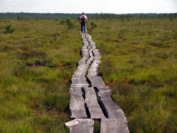 Zdjęcie z Łotwy - Rezerwat Dunika.