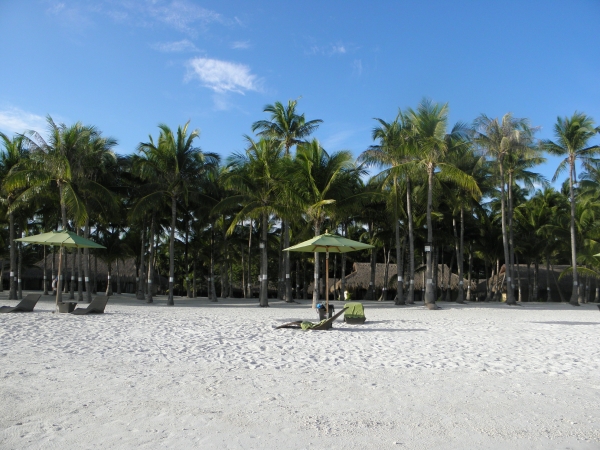 Zdjęcie z Filipin - panglao south palm resort