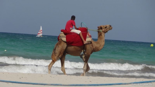 Zdjęcie z Tunezji - 