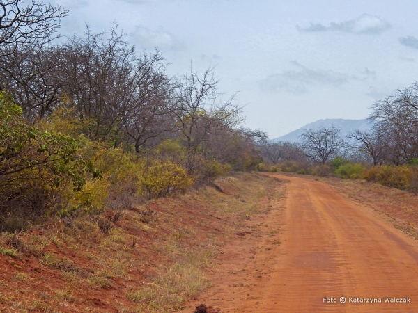 Zdjęcie z Kenii - Czerwona ziemia w Tsavo.