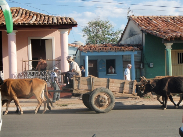Zdjęcie z Kuby - Vinales