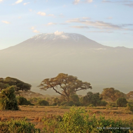 Zdjęcie z Kenii - Ostatnie spojrzenie na Kilimanjaro...
