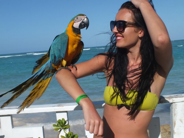 Zdjęcie z Dominikany - Bliskie spotkanie z papugą