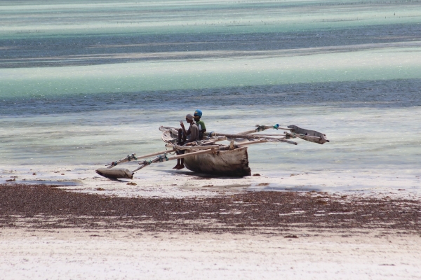 Zdjęcie z Tanzanii - W oczekiwaniu na przypływ.