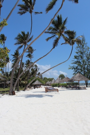 Zdjęcie z Tanzanii - Nasza hotelowa plaża