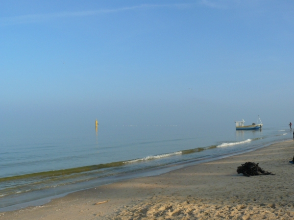 Zdjęcie z Polski - Plaża w Stegnie