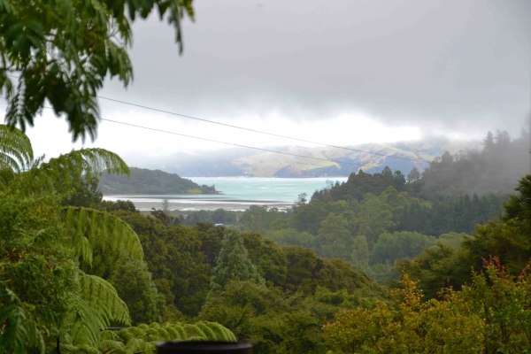 Zdjęcie z Nowej Zelandii - Widok z okna domu naszych znajomych