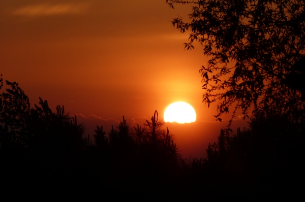 Zdjęcie z Polski - wschód słońca nad moim ogrodem; 19.05.2015