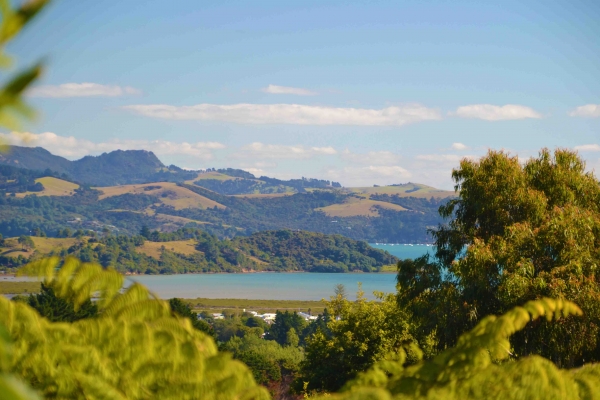 Zdjęcie z Nowej Zelandii - W dole McGregor Bay i dachy Coromandel
