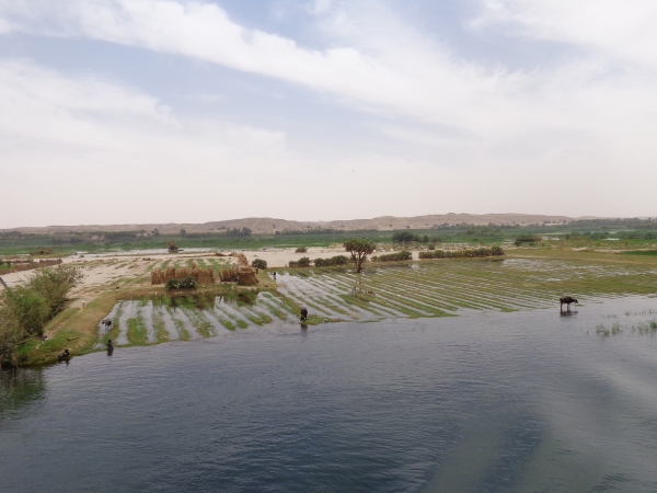 Zdjęcie z Egiptu - wzdłuż Nilu