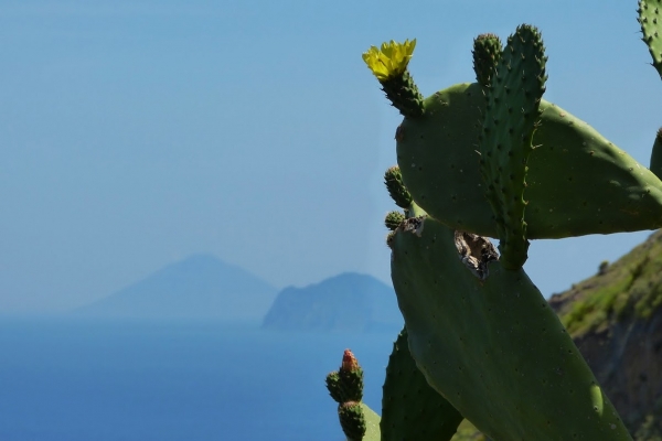 Zdjęcie z Włoch - Stromboli i Panarea z opuncją z Lipari:)