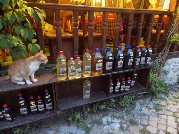Zdjęcie z Bułgarii - Na taką domową rakijkę i kot łasy... :)