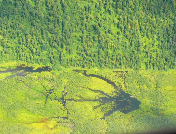 Zdjęcie ze Stanów Zjednoczonych - widoki z lotu