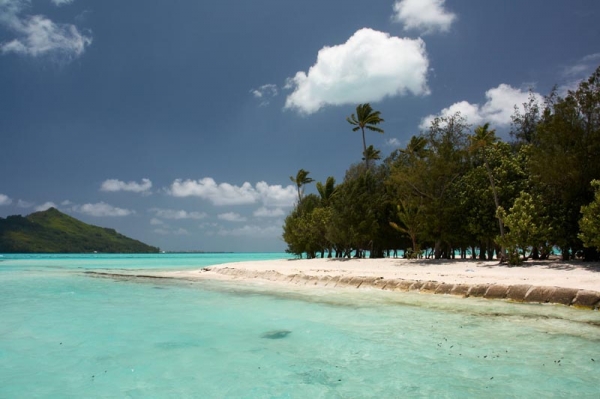 Zdjęcie z Polinezji Francuskiej - 