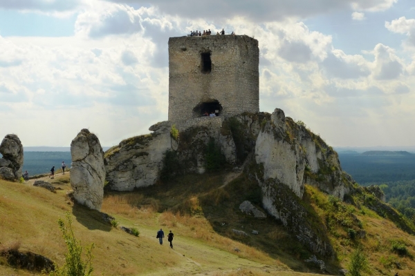 Zdjęcie z Polski - widok na wieżę starościańską