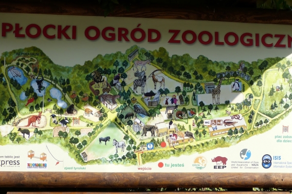 Zdjęcie z Polski - na koniec udajemy się jeszcze do płockiego zoo