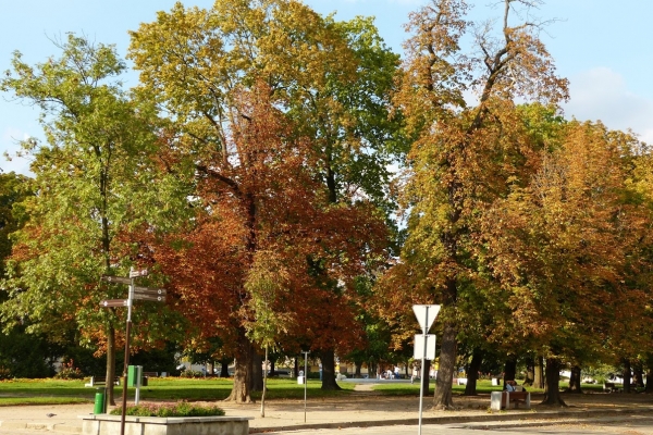 Zdjęcie z Polski - jesienny Płock