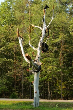 Zdjęcie z Polski - Rudka - jadąc przez lasy nadleśnictwa Rudka -