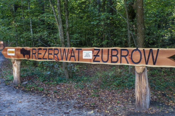 Zdjęcie z Polski - zmierzamy do Rezerwatu Pokazowego Żubrów
